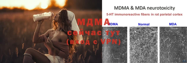 молекула духа Балахна