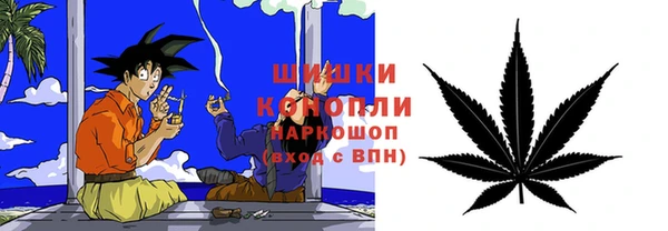 молекула духа Балахна