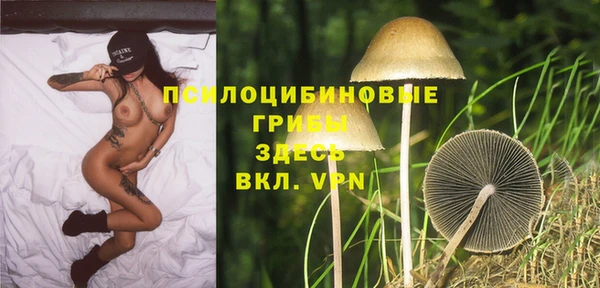 индика Белоозёрский
