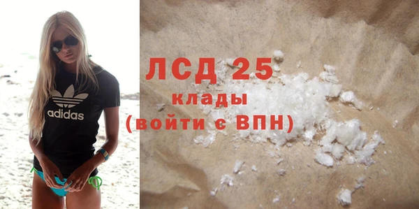 индика Белоозёрский