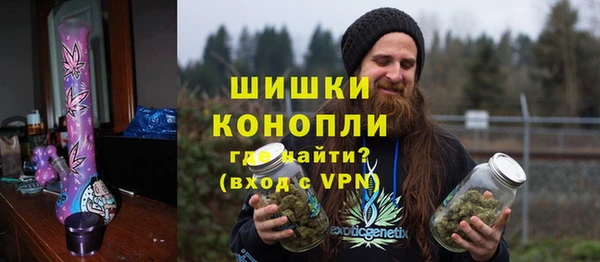 индика Белоозёрский