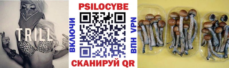 Галлюциногенные грибы MAGIC MUSHROOMS закладка shop официальный сайт Фёдоровский